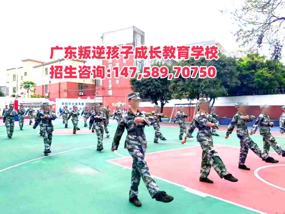 V|L(zhng)W(xu)УԒ14758970750