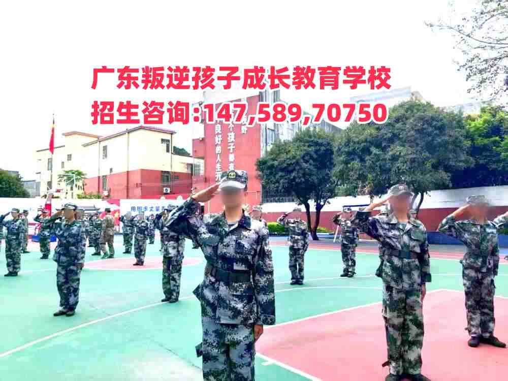 V|L(zhng)W(xu)УԒ14758970750