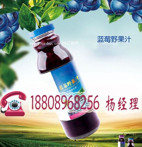 {(ln)ݮҰ֭|СҎ(gu)֭ƷoemNƁ(li)ϼӹ=