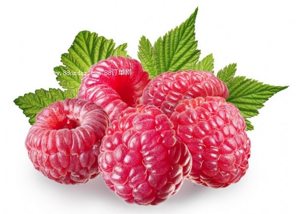 ݮƷӹoemƷNƏS