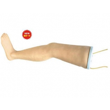 ߼(j)o}ݔҺģ