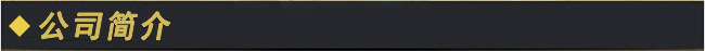 s公司簡(jiǎn)介